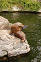 dierentuin emmen_1080